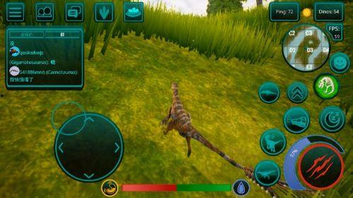 诅咒之岛官方最新爆料,揭秘神秘岛屿的未解之谜与惊悚事件